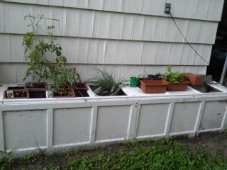 Old garage door converted into a work bench and planter. Repurpose Garage, Door Garden Ideas, Door Panel Ideas, Door Upcycle, Old Garage Door, Flower Vegetable Garden, Door Repurposed, Repurposed Doors, Old Door Projects