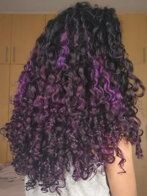 Dark Brown Hair With Hints Of Purple, Curly Hair With Purple Tips, Purple Balayage Curly Hair Natural Curls, Purple Highlights In Brown Hair Curly, Dyed Highlights Curly Hair, Curly Hair Dye Highlights, Cute Hair Dye Ideas For Curly Hair Purple, Purple Peekaboo Curly Hair, Hair Dye Colors For Curly Hair