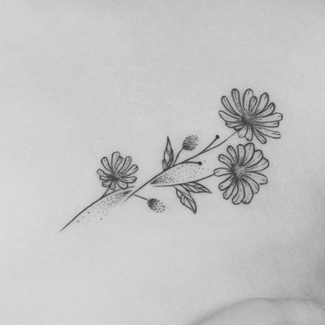 Archie Tattoo, Aster Flower Drawing, September Tattoo, Aster Flower Tattoo, Aster Tattoo, Aster Flower Tattoos, Larkspur Tattoo, Mysterious Tattoo, Flower Tattoo Stencils