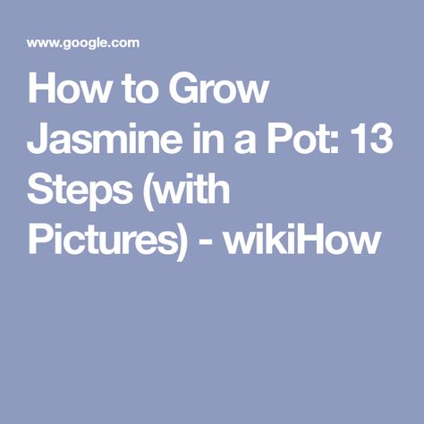 How to Grow Jasmine in a Pot: 13 Steps (with Pictures) - wikiHow Potted Jasmine, Tomato Fertilizer, Emotional Attachment, Fade Cut, Jasmine Plant, Emotional Affair, The Fade, Aromatic Plant, Soil Layers