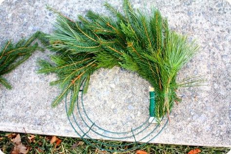 Faux Evergreen Wreath, Real Pine Wreaths, Making A Real Christmas Wreath, Christmas Wreath Instructions, Pine Tree Wreath, Diy Real Wreath Christmas, Real Wreaths Christmas, Making A Wreath With A Wire Frame Christmas, Diy Real Wreath