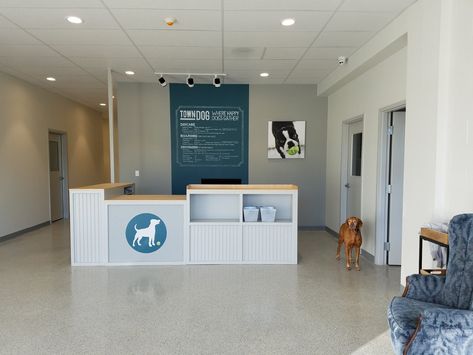 Dog Retreat, Dog Clinic, Vet Clinic, Vet Clinics, Clinic Design, Dream Business, Reception Area, Veterinary Clinic, Reception Areas