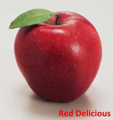 Red Delicious is a great apple for juicing! More at http://www.kitchensanity.com/juicing/best-apples-for-juicing/ Red Juice Recipe, Diy Candles With Crayons, Crayon Candles, Red Juice, Garden Candle, Red Delicious Apples, Juicing Benefits, Fruit Picture, Soap Making Supplies