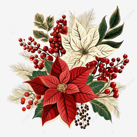 winter and christmas stylized decorative leaf designs of poinsettia holly berry spruce tree png Poinsettia Painting Easy, Christmas Plants Illustration, Christmas Flower Illustration, Christmas Art Design, Christmas Foliage Illustration, Christmas Bouquet Ideas, Poinsettia Illustration, Christmas Png Images, Christmas Ball Ornaments Diy