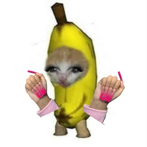 Banana cat Gato Banana, Banana Meme, Happy Cat Gif, Crying Cat Costume, Banana Funny, Banana Cat, Cat Crying, Cute Bunny Pictures, Cats Pictures