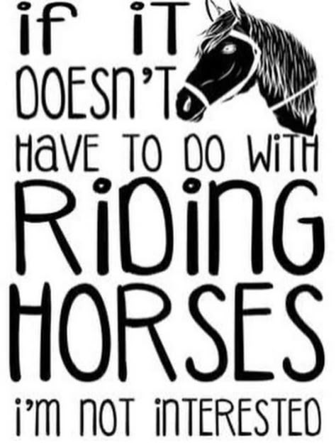 Country Sayings, Cowgirl Quote, Horse Quotes Funny, Funny Horse Pictures, Horse Jokes, Funny Horse Videos, Inspirational Horse Quotes, Pony Gift, Western Quotes