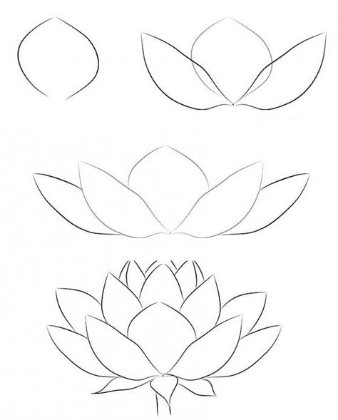 Draw A Lotus Flower, Trin For Trin Tegning, Lotus Flower Drawing, Lotus Drawing, Desain Quilling, Flower Drawing Tutorials, Flower Art Drawing, Flower Sketches, Art Tools Drawing