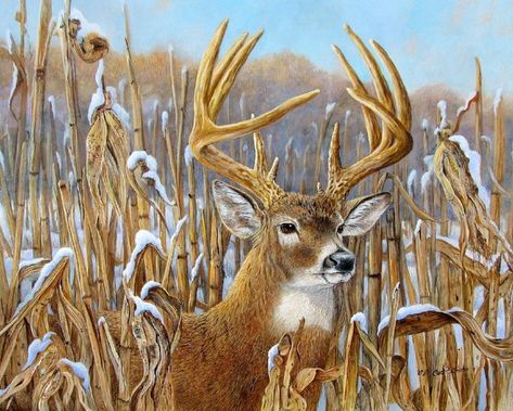 Big Whitetail Buck Wallpaper Deer Paintings, Africa Painting, Deer Artwork, Deer Art Print, Deer Drawing, Deer Animal, Deer Pictures, Hunting Art, Deer Painting