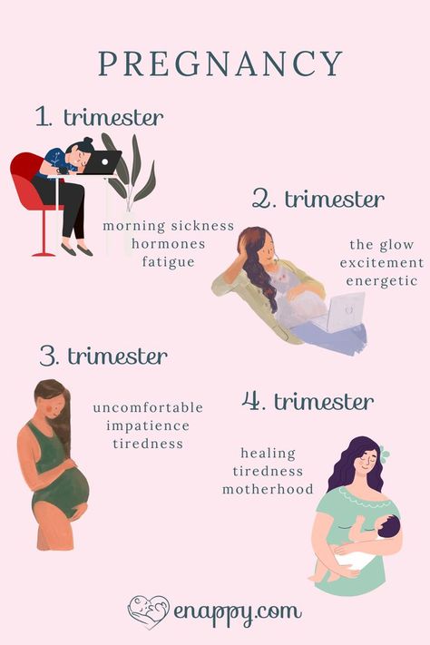 Pregnancy Facts, Pregnancy Checklist, Baby Routine, Healthy Pregnancy Tips, Pregnancy Info, Pregnancy Information, Baby Facts, Baby Planning, Conscious Parenting