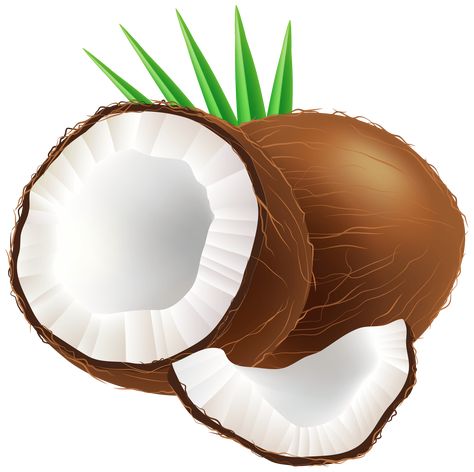 Coconut Clipart Vector Shape Coconut Clipart, Frozen Yogurt Bites, Paleo Ice Cream, Yogurt Bites, Fruit Clipart, Coconut Dream, Hawaiian Party Decorations, Cake Logo Design, Shapes Images