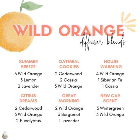 Hey Lovelies, sharing with you 6 doTERRA Wild Orange diffuser blends! 🍊 Try these blends and let the vibrant aroma of Wild Orange uplift your mood and energize your day! 🍃✨ Which blend are you excited to try first? Let us know in the comments! 👇 Discover more doTERRA oils now! 🌿🔗https://bit.ly/3BPYbPo Orange Diffuser Blends, Doterra Wild Orange, Doterra Oils Recipes, Scentsy Oils, Yl Essential Oils, Wild Orange, Essential Oil Diffuser Blends, Oil Diffuser Blends, Doterra Oils