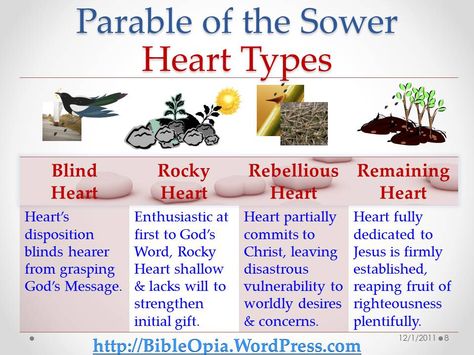 Heart Types and The Parable of the Sower: The Parable of the Sower soil types can also be viewed via the lens of ones’ heart condition related to the four soil types, leading to these 4 heart… The Parable Of The Sower, Bible Parables, Parable Of The Sower, Faith Messages, Soil Types, Parables Of Jesus, Heart Type, Bible Lessons For Kids, Bible Activities