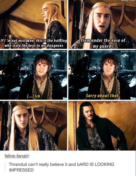 Shenanigans Quotes, The Hobbit Thranduil, Hobbit Funny, Lotr Elves, Lotr Funny, Concerning Hobbits, Tolkien Art, Lotr Art, Hobbit Hole