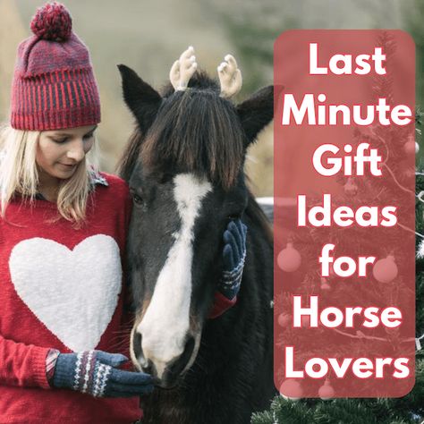 Last Minute Gift Ideas for Horse Lovers Diy Gifts For Horse Lovers, Last Minute Gift Ideas, Volunteer Gifts, Equestrian Gifts, Diy Mothers Day Gifts, Horse Lovers, Gifts For Horse Lovers, Riding Gear, Equestrian Outfits