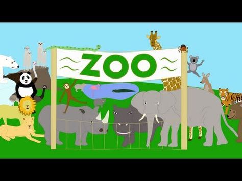 A song for children about some of the animals that you can see at the zoo.  This song was written and performed by A.J. Jenkins  Video by KidsTV123  Copyright 2012 A.J. Jenkins/KidsTV123: All rights reserved.  For free MP3s, worksheets and much more:  http://www.kidstv123.com    Kids songs song for children Zoo Theme Preschool, Smartboard Activities, Zoo Preschool, Zoo Theme, English Videos, Preschool Songs, School Videos, Animal Activities, Safari Jungle