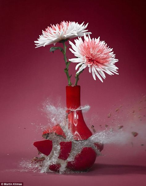 Fragments: The series shows the varying ways that vases made of glass, ceramic or stonewar... Martin Klimas, Stop Motion Photography, High Speed Photography, Fast Shutter Speed, Motion Photography, Delicate Flower, Shutter Speed, Stop Motion, Creative Photography