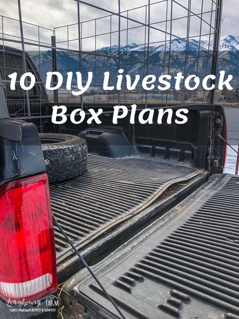 4h Show Box Ideas, Goat Trailer, Goat Transport Cage, Cattle Show Box Ideas, Show Box Ideas Livestock, Diy Livestock Trailer, Wooden Livestock Show Boxes, Diy Livestock Box For Truck, Feed Mixer Livestock Diy