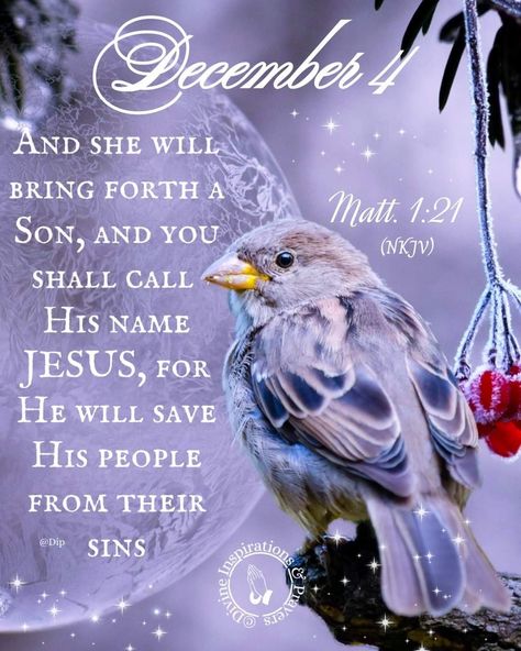 December 4 Blessings, Divine Inspiration And Prayers, December Scriptures, Christmas Verses, Hello December, Good Morning God Quotes, Encouraging Bible Verses, Daily Word, Daily Verses