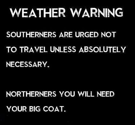 Weather warning: Southerners are urged not to travel unless absolutely necessary. Northerners, you sill need your big coat. Star Wars Tree, Cold Weather Memes, Cold Weather Funny, Weather Jokes, Cold Weather Quotes, Wicket Ewok, Winter Humor, Weather Memes, Tree Village