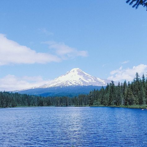 Finally made it to Trillium Lake!! 🏔️ Fine Jewelry Trillion Cut Platinum, Great White Trillium, White Trillium, Moonlit Lake, Trillium Lake, July 1, Made It, Lake, On Instagram