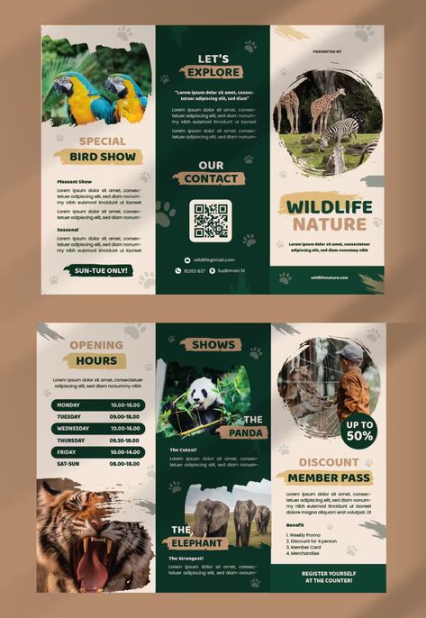 Zoo Package Tri-Fold Brochure Template AI, EPS Tri Brochure Design, Zoo Brochure Design, Company Brochure Design Creative, Leaflet Design Layout Creative, Fun Brochure Design, Trifold Design Ideas, Broucher Ideas Design, Animal Brochure, Zoo Brochure