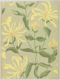 Tattoo Honeysuckle, Honeysuckle Flowers, Neutral Green, Cooper Hewitt, Honeysuckle Flower, Green Ground, Textile Pattern Design, Pastel Pink Aesthetic, Pink Wallpaper Iphone