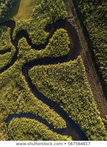 Top View of Amazon River, Brazil River Top View, Amazon River, Top View, Bolivia, Most Beautiful Places, Ecuador, City Photo, Beautiful Places, Brazil