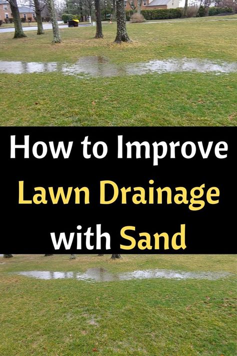 How To Improve Lawn Drainage With Sand Terraced House Living Room, Living Room Terrace, Rain Garden Design, Lawn Problems, Lawn Leveling, Terrace Gardens, Terraced Gardens, Terrace Gardening, Terrace Roof