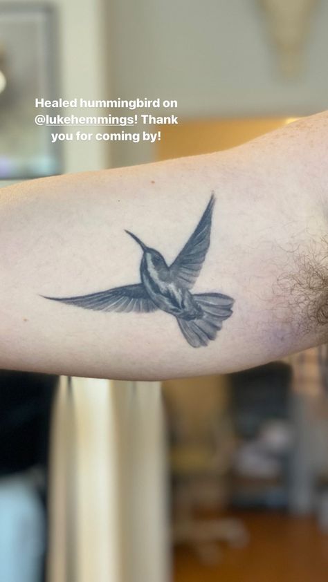 5sos Tattoo, 5sos Pictures, Summer Tattoo, Hummingbird Tattoo, Luke Hemmings, Matching Tattoos, Tattoos And Piercings, Tattoo Artists, Tatting