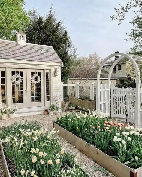 35 Charming and Quaint Cottage Garden Ideas We Love She Shed Plans, Backyard Greenhouse, Garden Wallpaper, Farmhouse Garden, Greenhouse Gardening, Shed Plans, Veggie Garden, Garden Cottage, Farm Gardens