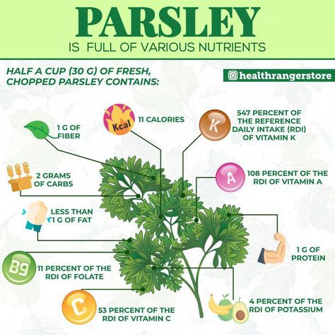 Spices For Health, Benefits Of Parsley, Parsley Benefits, Ckd Diet, Ckd Recipes, Protein Diet Plan, Recipes Bread, Baking Soda Shampoo, Dandelion Recipes