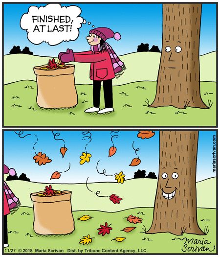 When you think you've gotten all the leaves, think again. | Read more from Half Full #comics on GoComics.com | #autumn #fall #leaves November Jokes, Gardening Jokes, September Pictures, Jesus Kingdom, Fall November, Holiday Jokes, Raking Leaves, Cyanide And Happiness, Holiday Cartoon