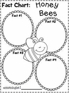 Insects Kindergarten, Honey Bee Facts, Insect Unit, Bee Themed Classroom, Bee Activities, Insect Activities, Bee Classroom, Non Fiction Writing, Insects Theme