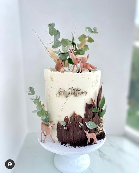 Woodland Theme Cake, Woodland Birthday Cake, Tree Stump Cake, Woodland Cake, Wood Cake, Forest Cake, Animal Cake, Instagram C, First Birthday Cakes