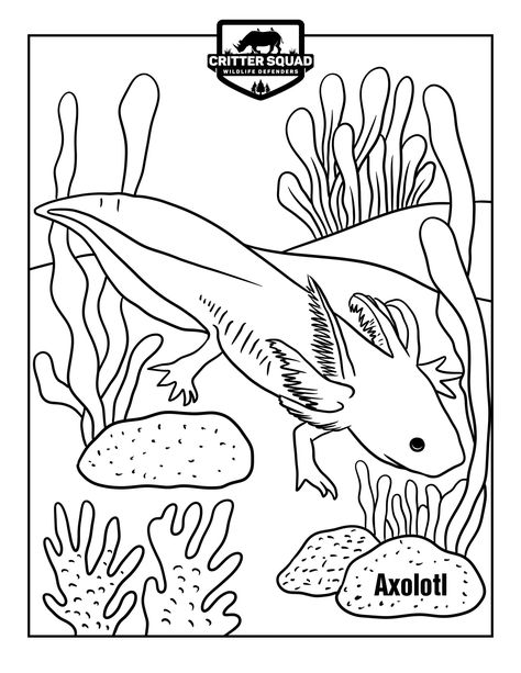 Axolotl Coloring Page, Aquatic Art, King Kong Vs Godzilla, Fish Coloring Page, Frog Drawing, Procreate Ipad Art, Coloring Page Ideas, Colouring Printables, Coloring Pages Printable