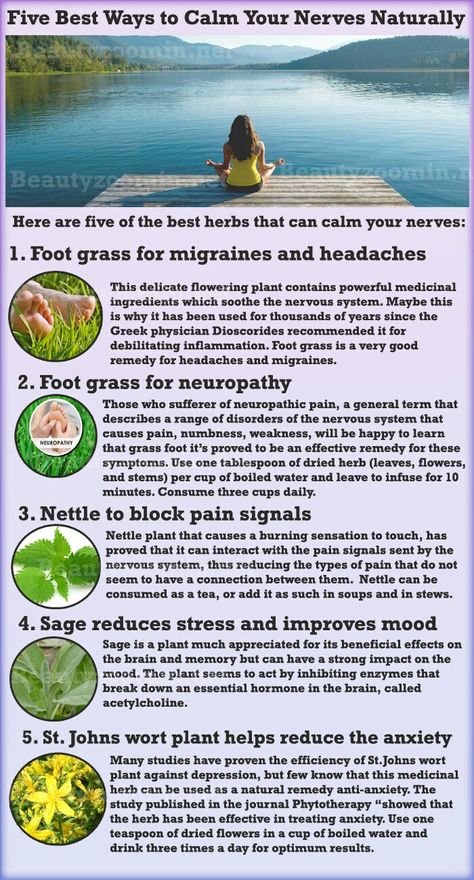 Herbs For Nerve Pain, Herbs For Headaches, Herbs Healing, Craft Hobbies, Lower Blood Sugar Naturally, Complex Regional Pain Syndrome, How To Calm Nerves, Healing Foods, Plant Medicine