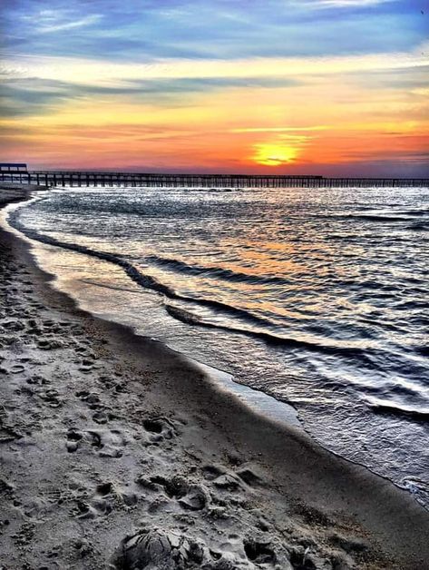 Virginia Beach Va, Ocean Painting, Beach Painting, Virginia Beach, Travel Usa, Beautiful Nature, Beautiful Flowers, Virginia, Road Trip