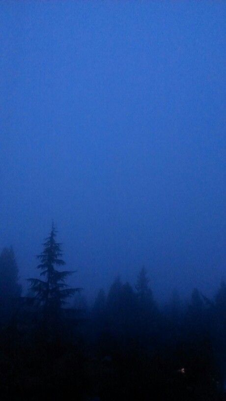 Blue Fog Aesthetic, Corecore Wallpaper, Dark Blue Forest, Fog Aesthetic, Blue Hour Photography, Blue Aesthetic Dark, Blue Fog, Fog Blue, Blue Forest