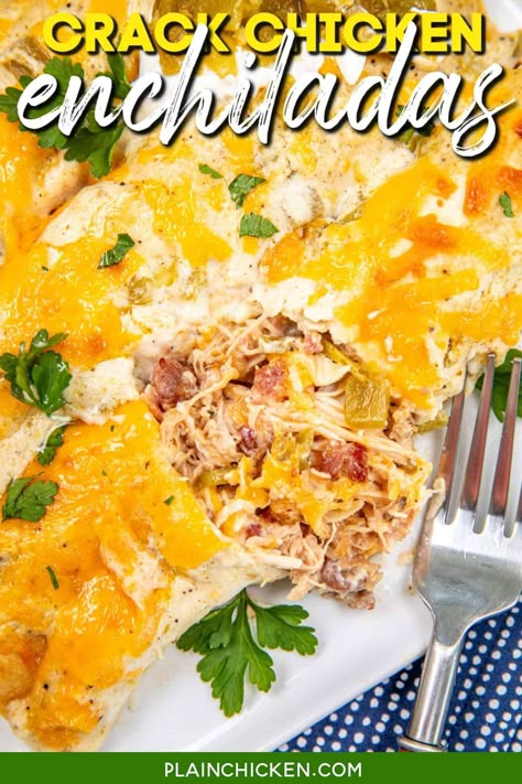 Creamy Cracked Chicken Enchiladas, Chicken Bacon Ranch Enchiladas, Enchiladas For A Crowd, Sour Cream Enchilada Sauce, White Enchiladas, Cheese Tortillas, Sour Cream Enchiladas, Chicken Enchiladas Recipe, Creamy Ranch Dressing