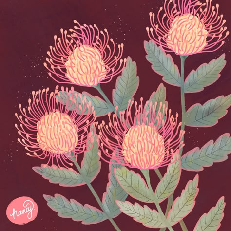 Pincushion Protea, Protea Art, Books Wedding, Illustration Editorial, Art Alevel, Australian Native Flowers, Illustration Botanique, Diy Watercolor Painting, Diy Watercolor