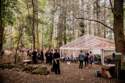 Amy & Michael’s Tasmanian Forest Wedding Hanging Ladder, Floristry Design, Polka Dot Wedding, Park Weddings, Forest Wedding, White Bridal, Bridal Shop, Bridal Boutique, Some Pictures