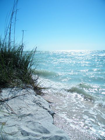 Beach 2 Ocean Quotes, Beach Blue, Have Inspiration, I Love The Beach, Florida Beach, Sanibel Island, Beach Quotes, Sand And Water, Beautiful Sea