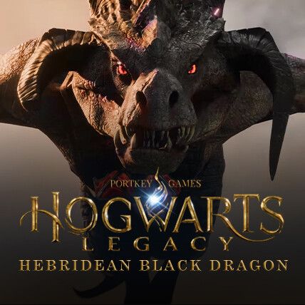 Hebridean Black Dragon Harry Potter, Hebridean Black Dragon, Magical Beings, Somewhere Only We Know, Hogwarts Legacy, Black Dragon, Harry Potter Fantastic Beasts, Fantastic Beasts, Wizard