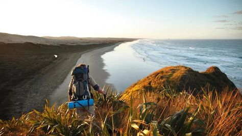 Te Araroa, Hiking New Zealand, New Zealand Beach, Bay Of Islands, Outdoor Trekking, Thru Hiking, Walking Routes, New Zealand Travel, Best Hikes