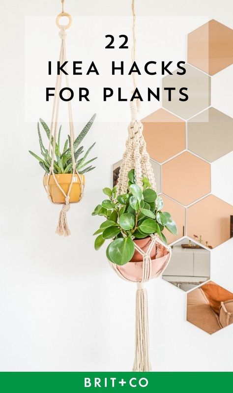 22 IKEA Hacks for Plants Bamboo Plant Decor, Ikea Plants, Growing Food Indoors, Plant Room, Plant Hacks, Diy Ikea Hacks, Bamboo Plants, Hydroponic Gardening, Room With Plants