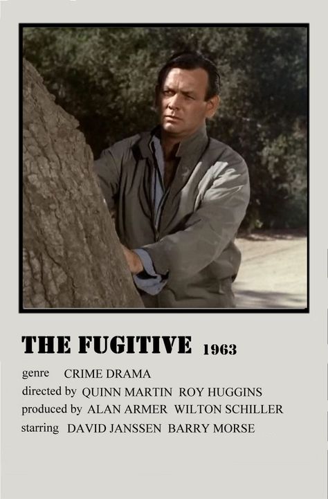 The fugitive 80s Classics, The Fugitive, Star David, Vintage Tv, Television Program, Wild West, Movies And Tv Shows, Tv Series, Movie Tv