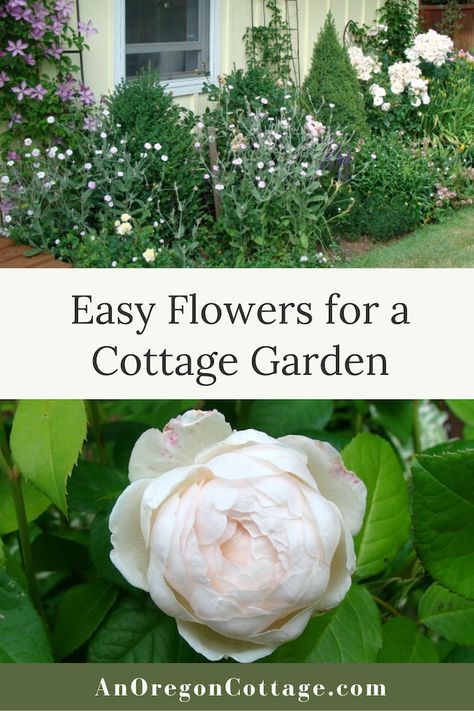 Easy cottage garden ideas for front yard, boarders, and beds. More than 11 beautiful plants in pastel colors that work great together in a landscape design. Perfect for your design layout plans. Front Cottage Landscaping, Cottage Style Flower Beds, Cottage Garden Plans Layout, Front Yard Rose Garden, Front Yard Roses Landscaping Ideas, Rose Garden Design Layout Flower Beds, English Cottage Garden Design Layout, Cottage Landscaping Front Yard, Cottage Garden Bed