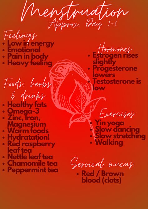 Menstruation Tea Herbs, Womb Cleanse, Cleanse Lungs, Nettle Leaf Tea, Tea Herbs, Red Raspberry Leaf, Raspberry Leaf Tea, Herb Tea, Peppermint Tea