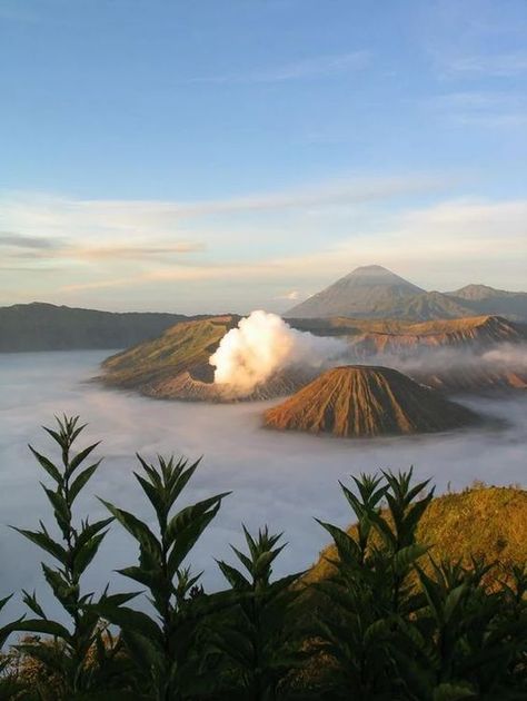 East Java, Indonesia Mount Bromo, East Java, Padang, Lombok, Ubud, Places Around The World, Asia Travel, Travel Around The World, Travel Around