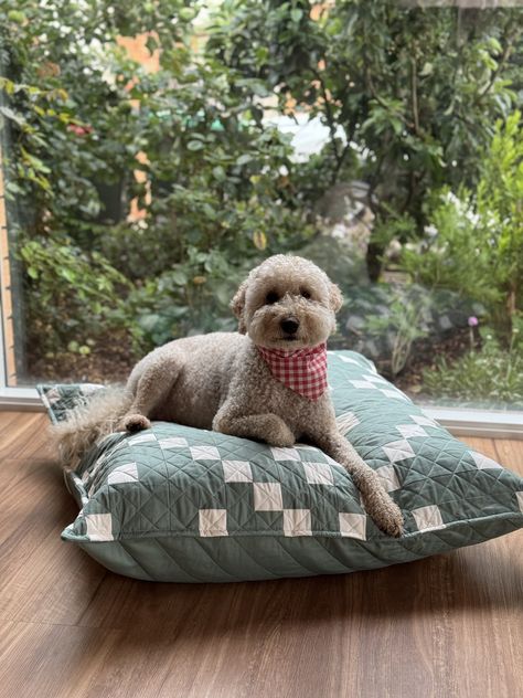 How to make: A quilted floor cushion (or dog bed :-) — Joz Makes Quilts Quilted Dog Bed Diy, Quilt Dog Bed, Quilted Dog Bed, Make Dog Bed, Homemade Dog Beds For Large Dogs, Sew Dog Bed, Dog Bed Diy, Dog Bed Sewing Pattern, Dog Beds Homemade